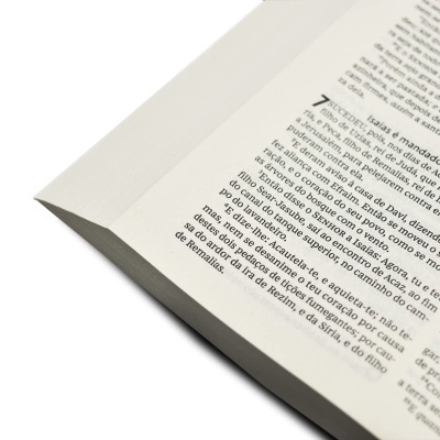 Página de livro aberto com texto impresso em português europeu