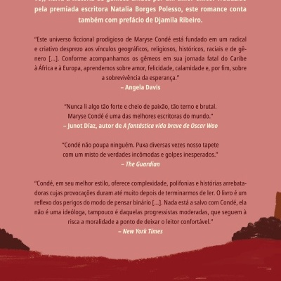 Fundo vermelho e castanho com texto em português sobre o livro O fabuloso e triste destino de Ivan e Ivana