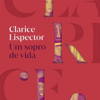 Capa de livro com título e autora em fundo vermelho e letras grandes semi-transparentes
