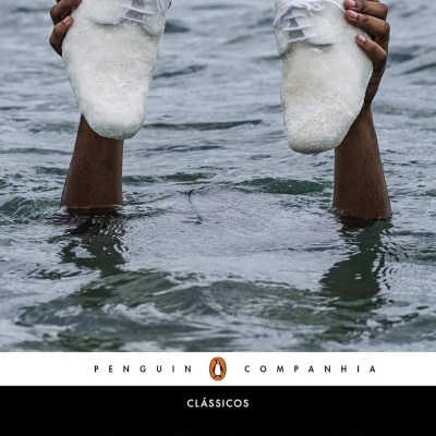 Livro A des-educação do negro com imagem de mãos negras segurando sapatos brancos em água
