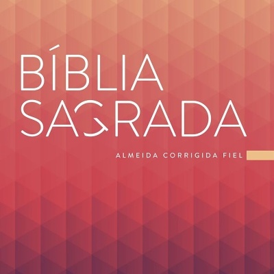 Capa de Bíblia Sagrada com cores vermelho e bege e texto branco.
