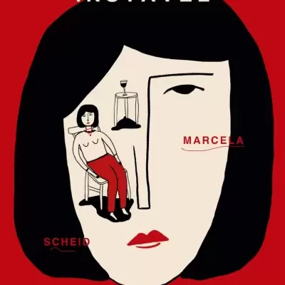 Capa de livro com rosto feminino desenhado e texto ESTAVELMENTE INSTÁVEL