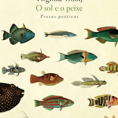 Capa de livro com título em português e ilustrações de peixes coloridos