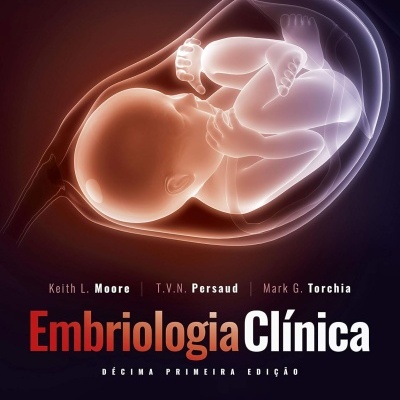 Capa de livro Embriologia Clínica com embrião humano translúcido