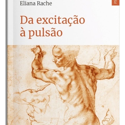 Capa de livro com título Da excitação à pulsão e ilustração artística em sépia