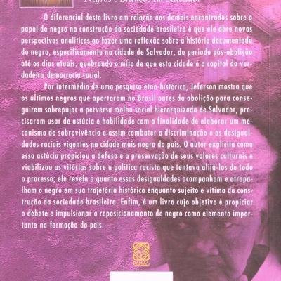 Capa traseira do livro A HIERARQUIA DAS RAÇAS com texto e imagem com tom rosa