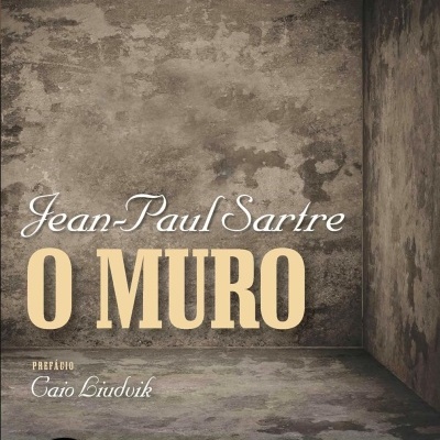 Capa de livro com textura de parede envelhecida cinzenta e preta com texto do título e autor