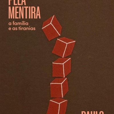 Capa de livro castanha com texto e ilustração de cubos vermelhos.