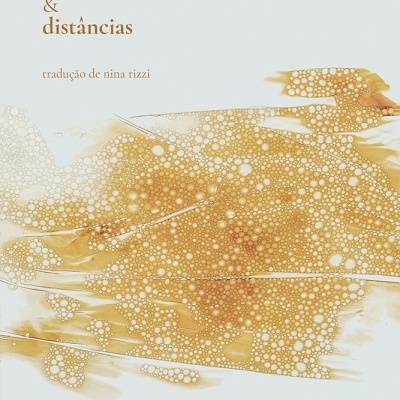 Capa de livro com título e textura castanha abstrata