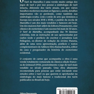 Capa traseira de livro azul com texto e padrão cinza nas bordas