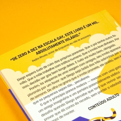 Contracapa de livro com fundo amarelo e branco com texto em português, destacando uma citação sobre o livro e a descrição da história