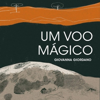 Capa de livro com avião cinzento voando sobre paisagem abstrata e textos em branco