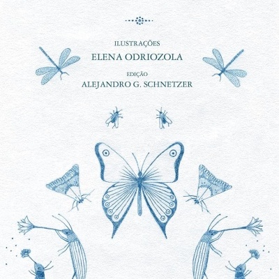Capa de livro com título, autor e ilustrações de borboletas e insetos em azul sobre fundo branco.