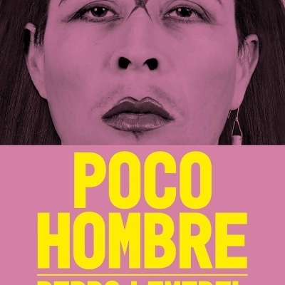 Capa de livro com texto amarelo e rosto editado em tom cor-de-rosa