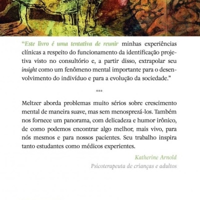 Capa traseira de livro com ilustração colorida e texto em português.