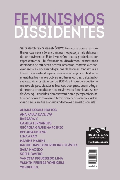 Capa de livro FEMINISMOS DISSIDENTES com texto e lista de autores