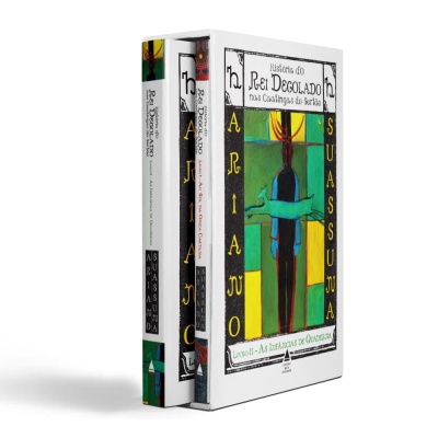 Conjunto de dois livros com capa colorida e texto em português