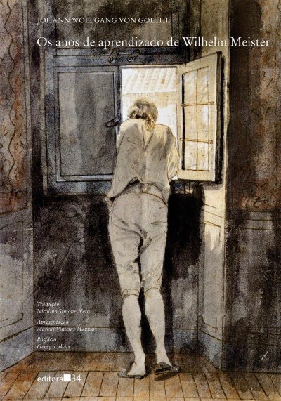 Capa do livro com ilustração de pessoa de costas junto a janela em tons sépia.