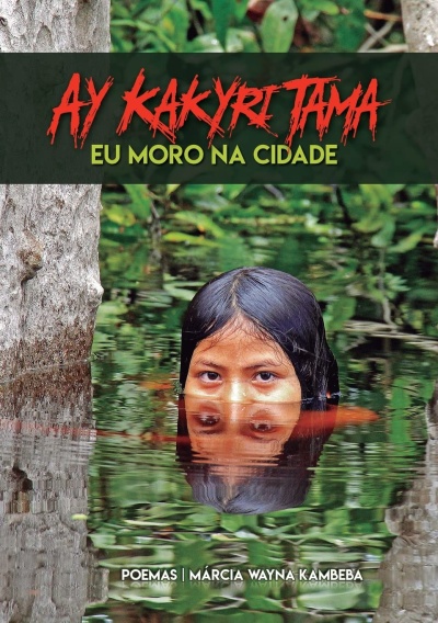 Capa de livro com título e imagem de pessoa na água
