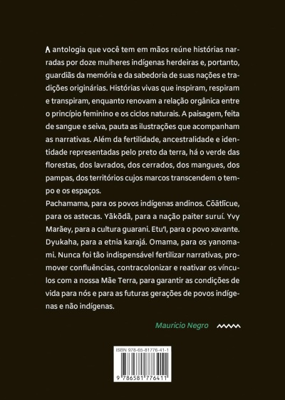 Contracapa de livro com texto em português, código de barras e ISBN 978-65-81776-41-1