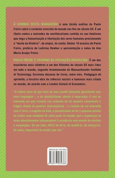 Capa traseira de livro castanho com texto e riscas verdes
