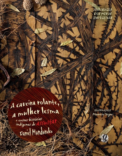 Capa de livro ilustrada com elementos naturais secos e texto em português