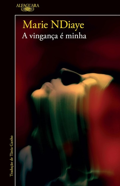 Capa do livro A vingança é minha de Marie NDiaye com fundo artístico.