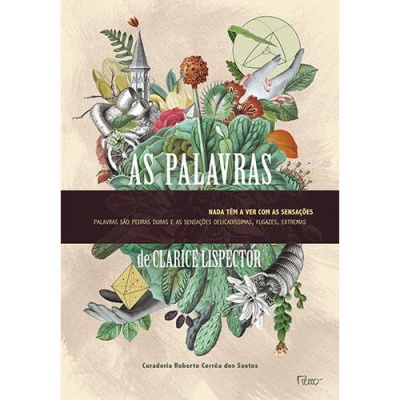 Capa de livro AS PALAVRAS de Clarice Lispector com ilustração botânica e elementos desenhados.