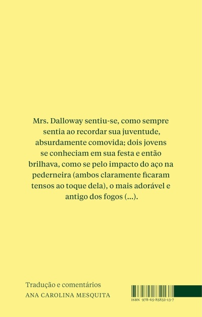 Capa amarela de livro com texto em português e código ISBN