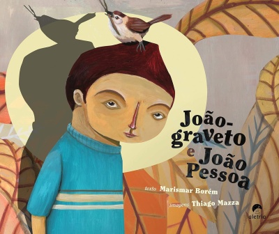 Capa de livro com ilustração de menino e pássaro e texto em português.