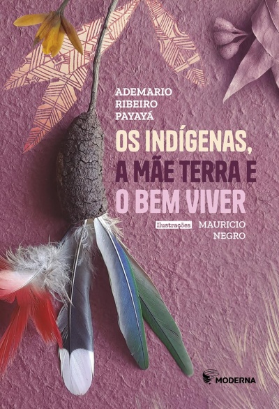Capa de livro colorida com penas decorativas e texto em português