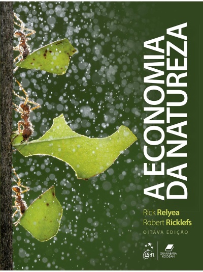 Capa de livro com formigas carregando folhas verdes na chuva e texto literário branco.