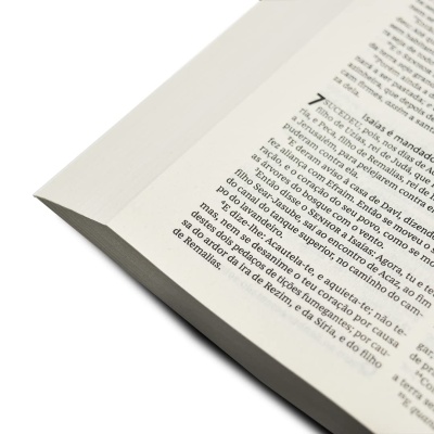 Página de livro aberto com texto impresso em português europeu