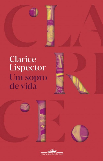 Capa de livro com título e autora em fundo vermelho e letras grandes semi-transparentes