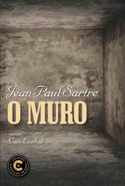 Capa de livro com textura de parede envelhecida cinzenta e preta com texto do título e autor