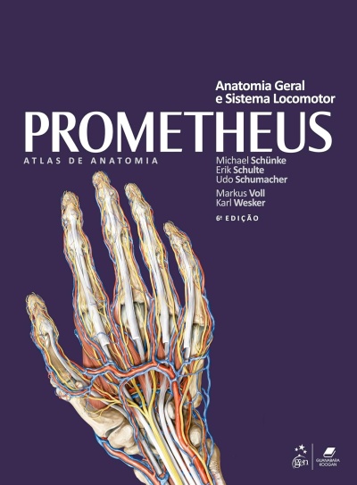 Capa de livro sobre anatomia com ilustração detalhada da mão humana e texto