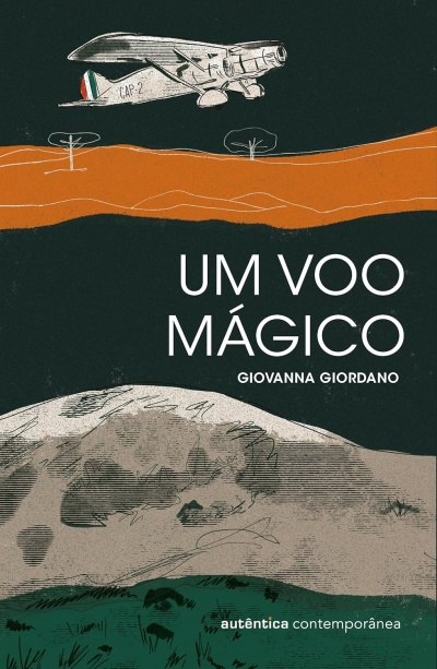 Capa de livro com avião cinzento voando sobre paisagem abstrata e textos em branco