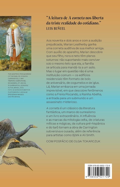 Contracapa de livro com texto em português, imagem de pintura e ilustração de aves, código de barras.