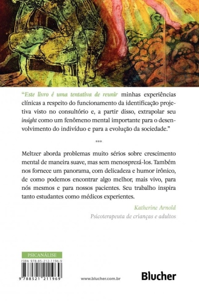 Capa traseira de livro com ilustração colorida e texto em português.