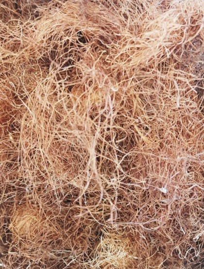 Infusão Barba de Milho 50g fibra natural castanha entrelaçada com textura fina