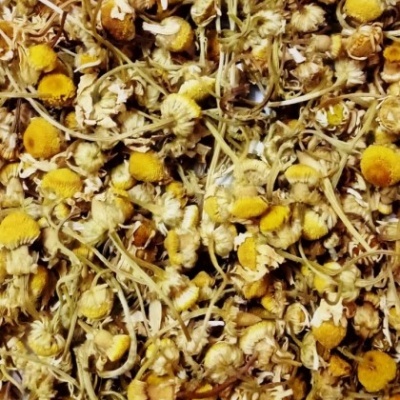 Flores secas de camomila amarelas e brancas em close-up