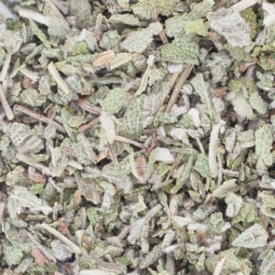 Folhas secas trituradas e pequenos caules de cor verde acinzentada