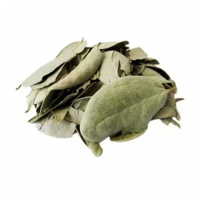 Folhas secas verdes acinzentadas empilhadas