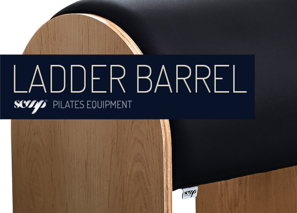 Equipamento Pilates Ladder Barrel em madeira clara e preto