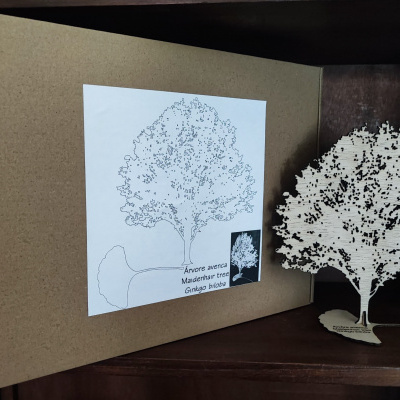Miniatura de árvore de madeira clara com texto e ilustração numa embalagem de cartão