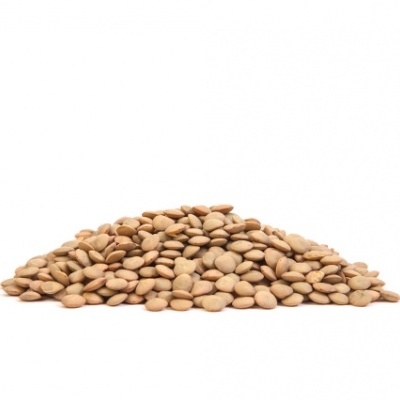 Monte de lentilhas castanhas secas sobre fundo branco