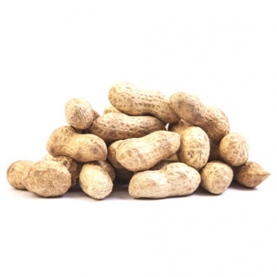 Amendoins com casca empilhados em fundo branco