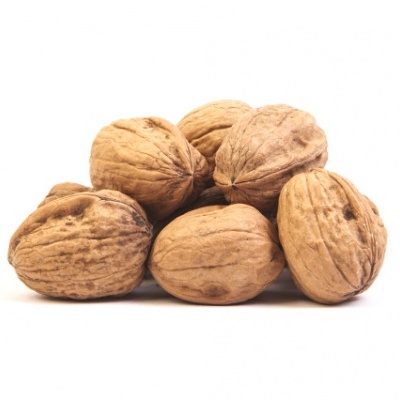 Seis nozes inteiras com casca castanha clara sobre fundo branco