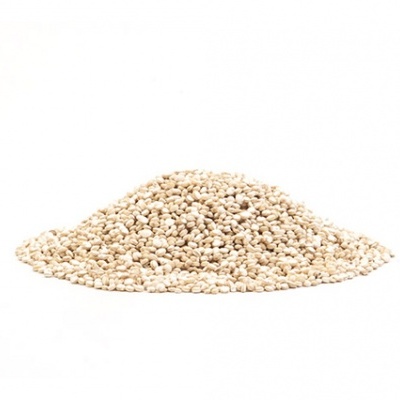 Montículo de sementes brancas pequenas sobre fundo branco