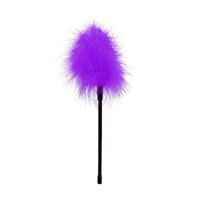 Espanador de Plumas Roxo